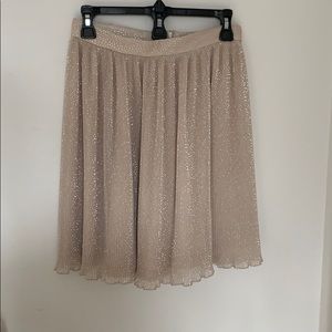 Sparkling skirt